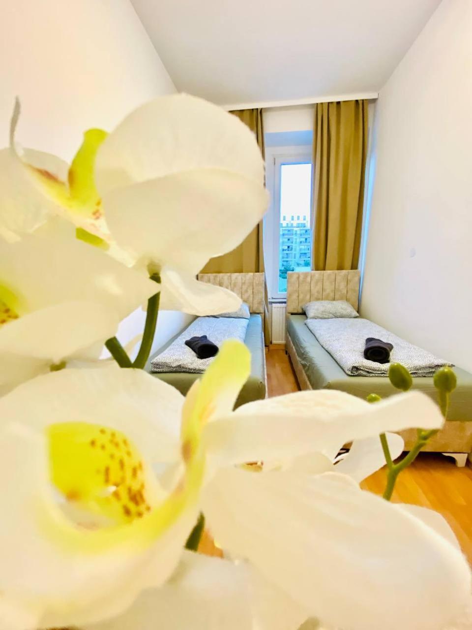 Comfortable Room In The 23Rd District Of Vienna Fr4 Dış mekan fotoğraf